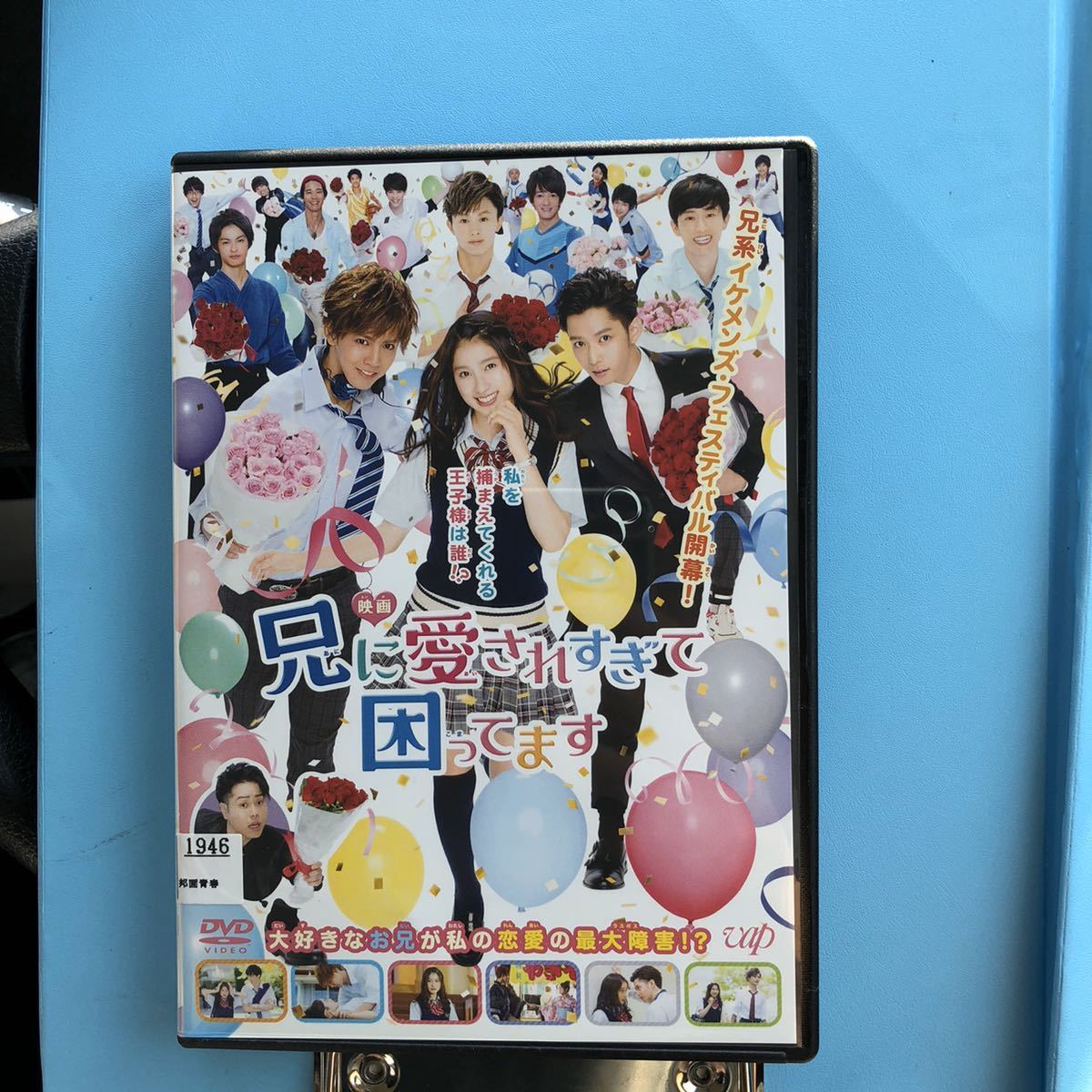 映画 兄に愛されすぎて困ってます DVD 土屋太鳳 / 千葉雄大 / 河合勇人_画像1