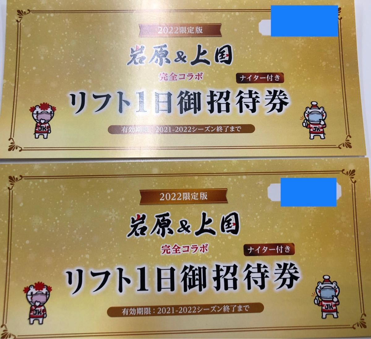 大特価!!】 リフト1日ご招待券 ウィンタースポーツ