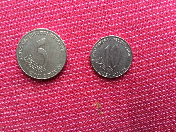 エクアドルの硬貨 2枚セット