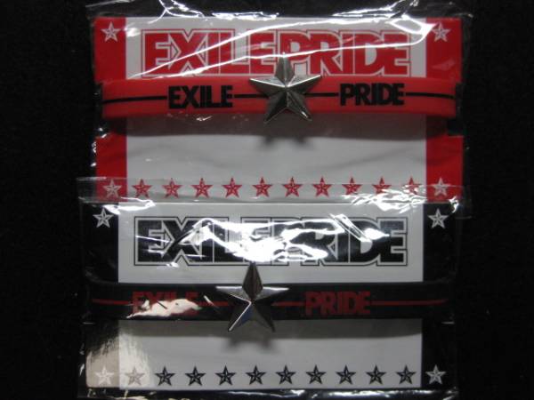 $ EXILE エグザイル 2013 ライブツアー ゴムブレス 赤黒セット $