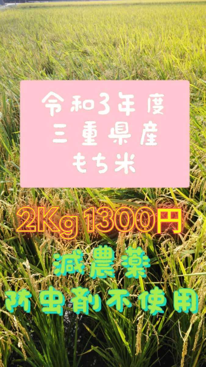 もち米・2Kg 農家直送 減農薬 防虫剤不使用 体にやさしいもち米です。送料無料40203_画像1