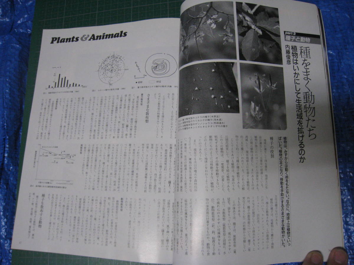 アニマ　1987年4月号　特集：植物を育てる動物たち　モグラ　平凡社_画像6