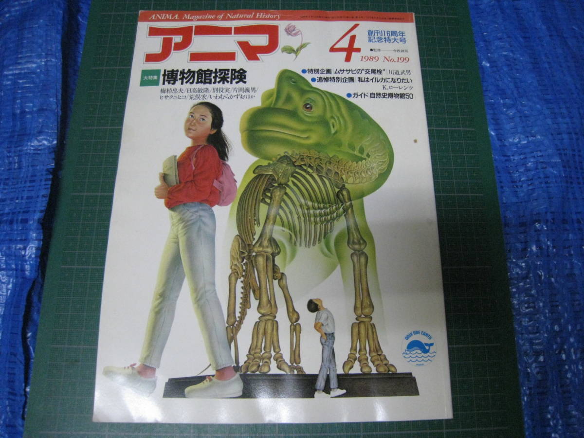 アニマ　1989年4月号　特集：博物館探検　平凡社_画像1