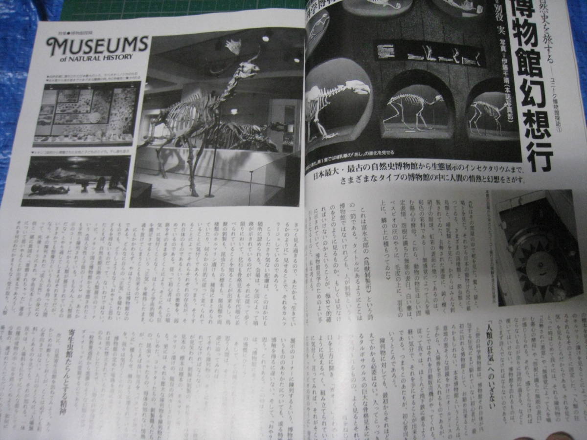 アニマ　1989年4月号　特集：博物館探検　平凡社_画像6