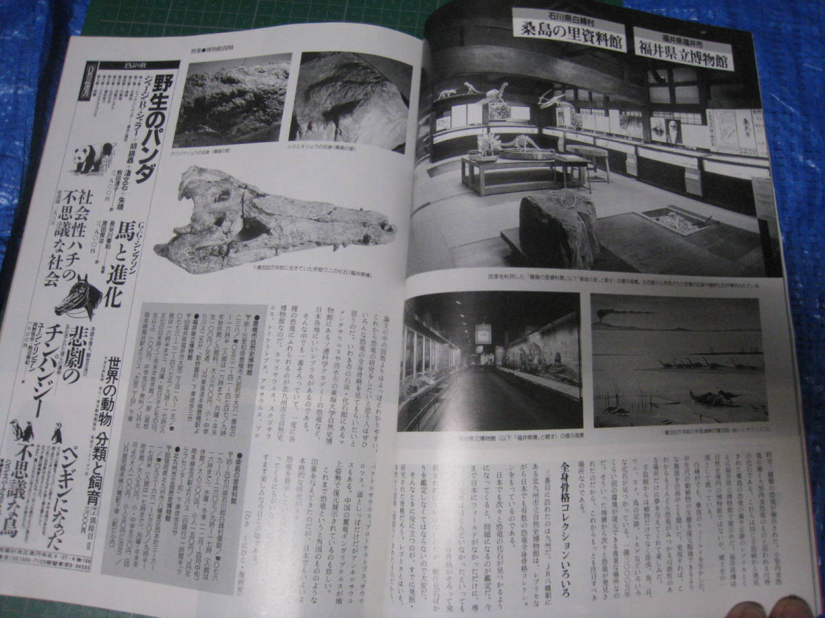 アニマ　1989年4月号　特集：博物館探検　平凡社_画像7