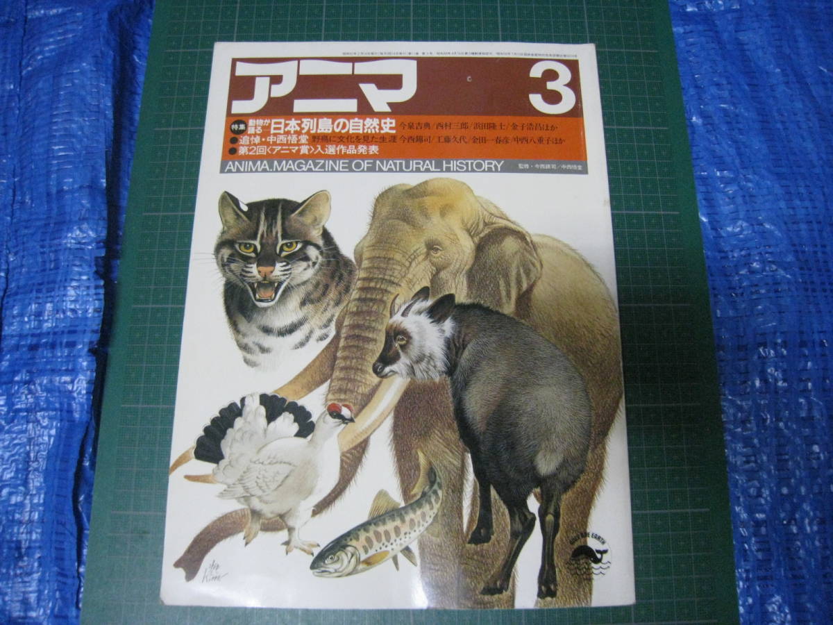 アニマ　1985年3月号　特集：動物が語る日本列島の自然史　平凡社_画像1