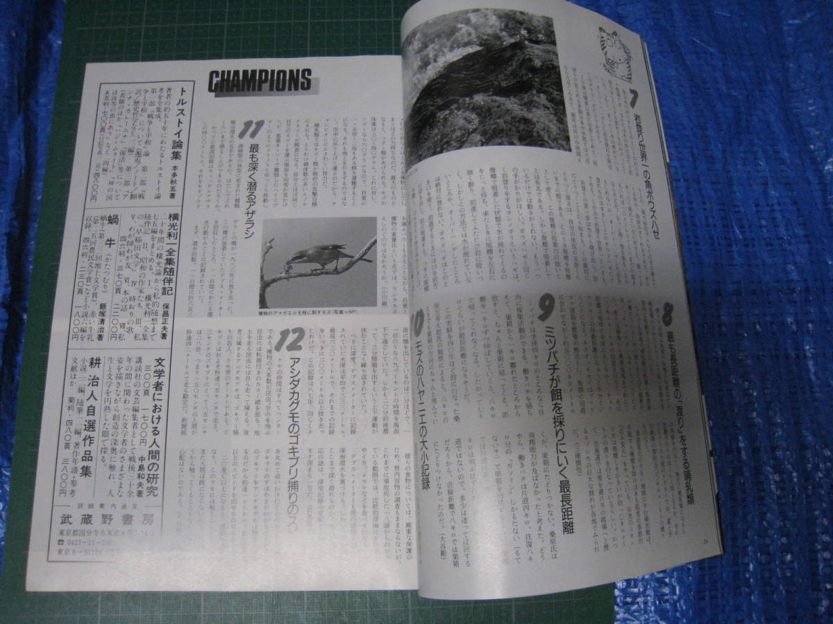 アニマ　1988年1月号　特集：動物チャンピオン　平凡社_画像8