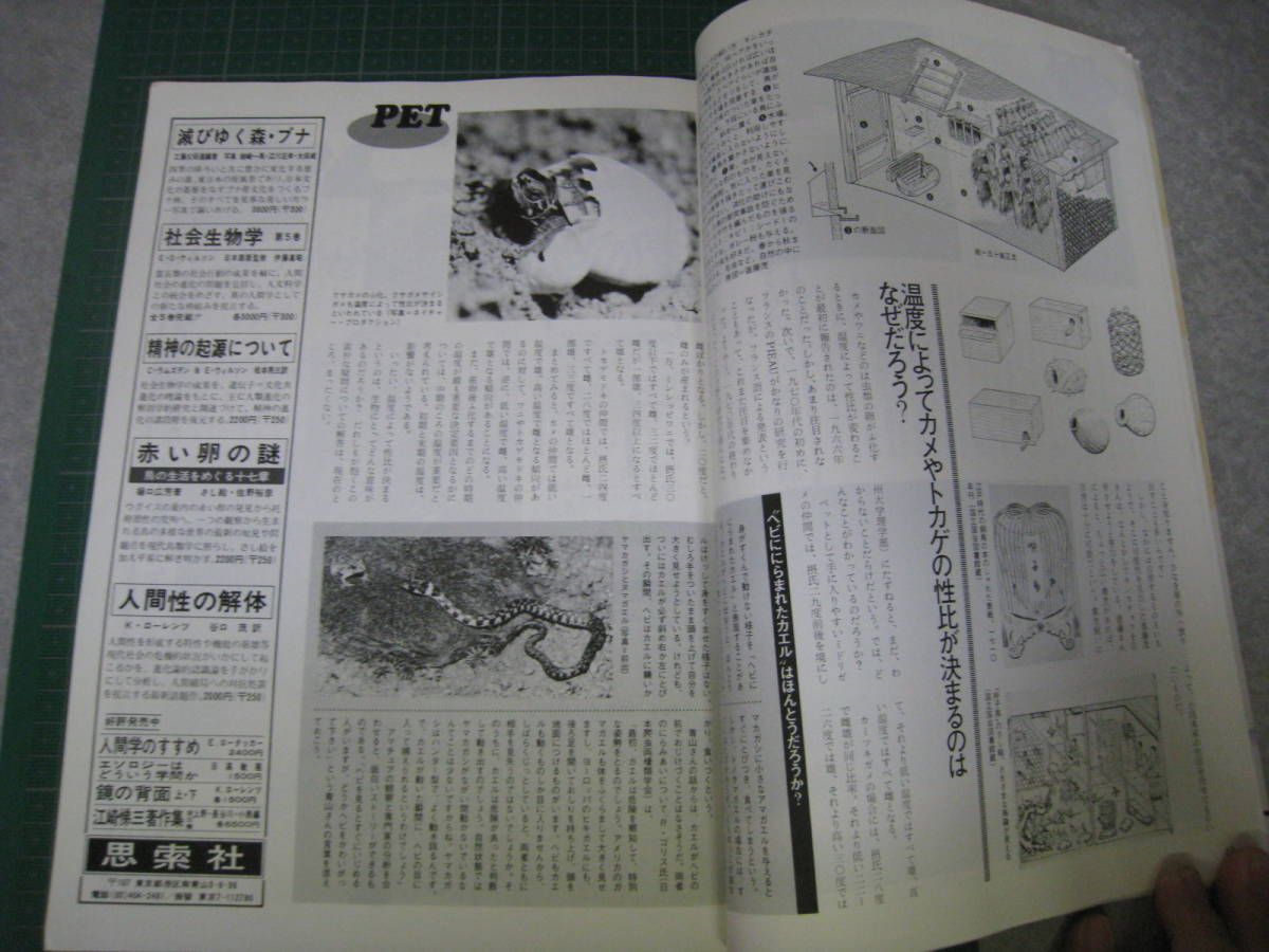 アニマ　1985年7月号　特集：新しいペット文化　平凡社_画像7