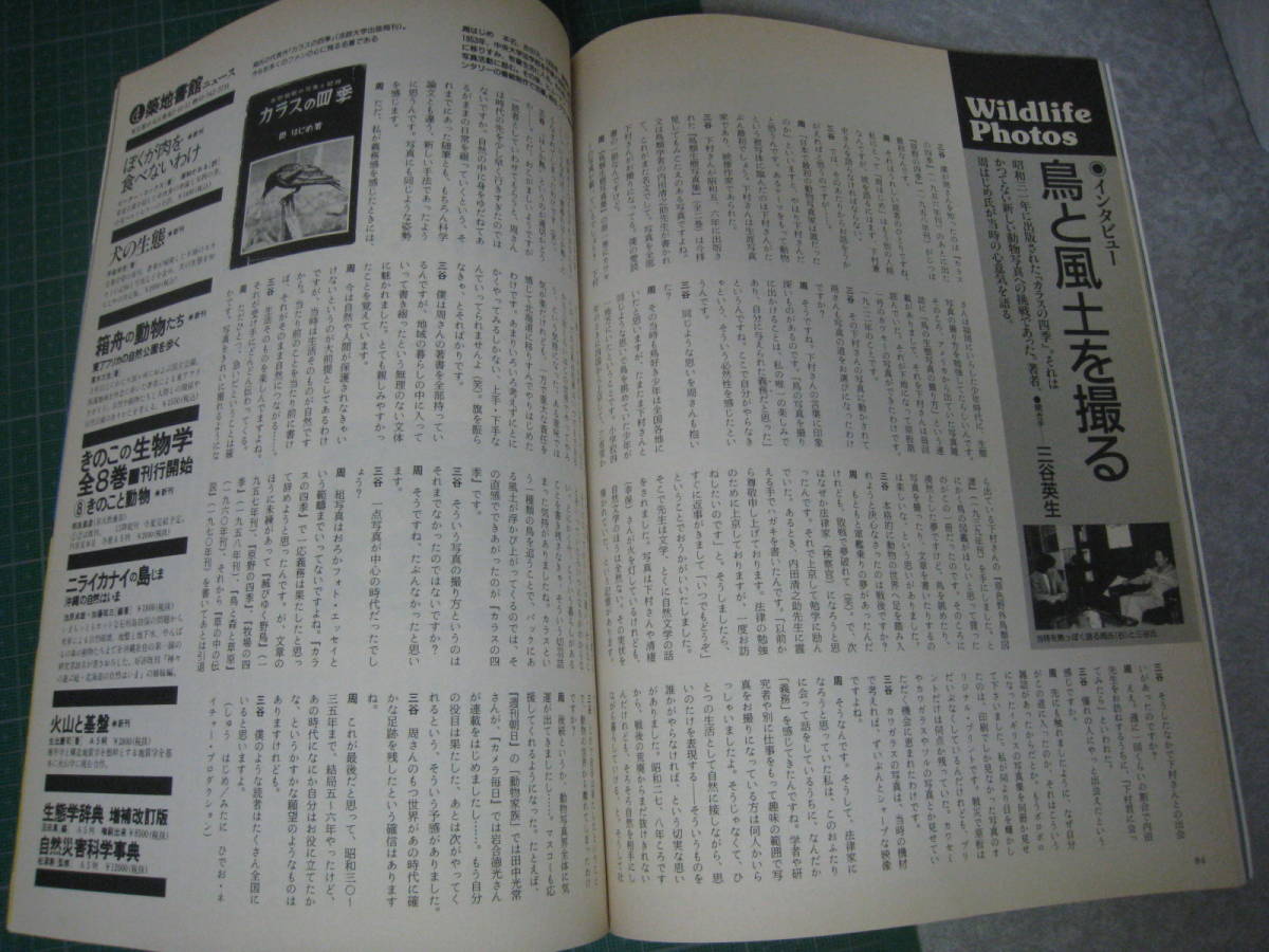 アニマ　1989年7月号　特集：’89動物写真　平凡社_画像8