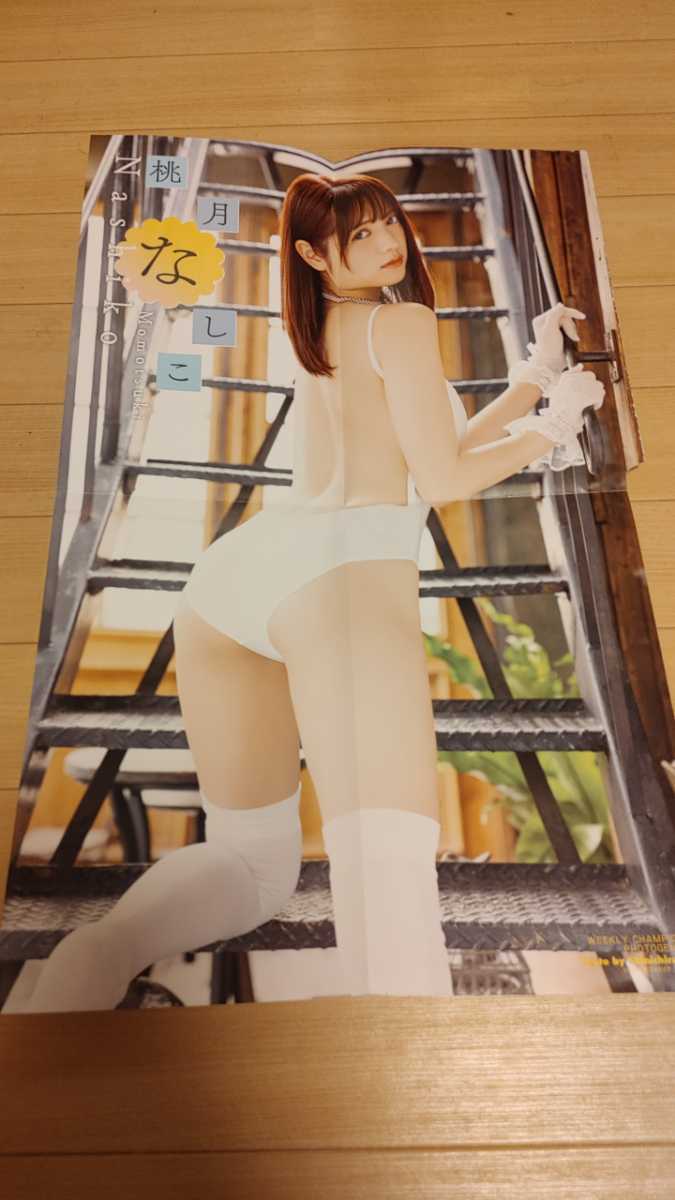  bikini model ⑮ постер продажа комплектом Kudo ... подлинный . love персик месяц нет .. птица .... тканый ..BiSH бобы .. большой группа WACK Kashiwagi Yuki дополнение 