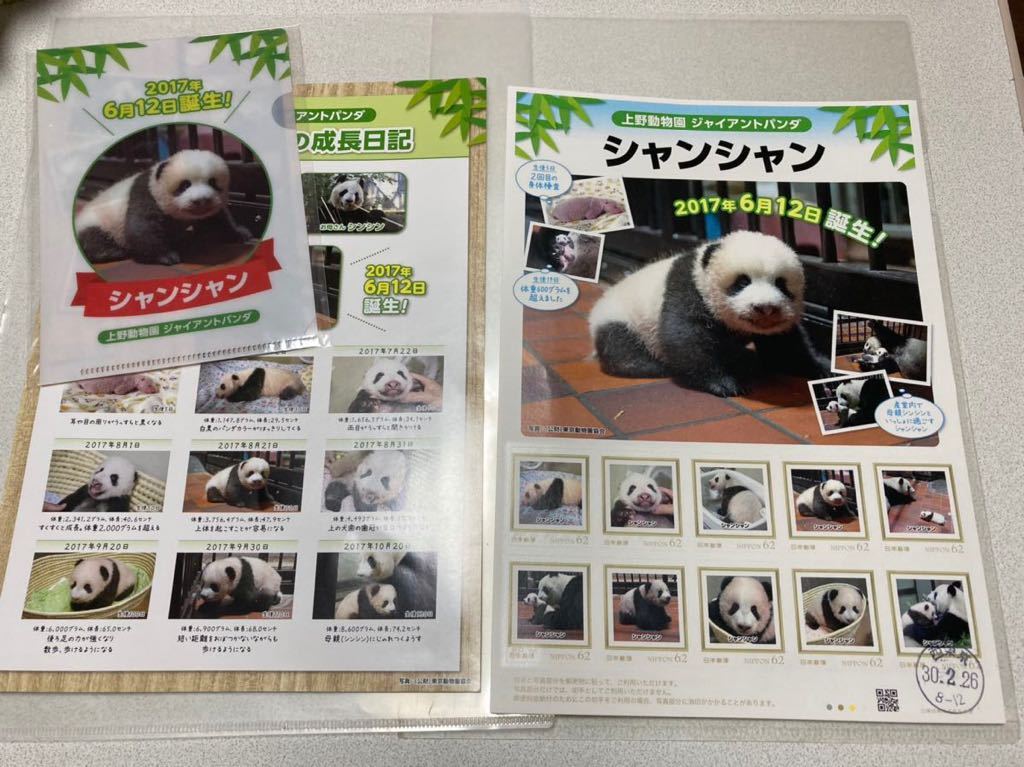 消印付　上野動物園 シャンシャン フレーム切手　ミニクリアファイル付き　62円×10枚　ジャイアントパンダ　日本郵便 香香 希少_画像1