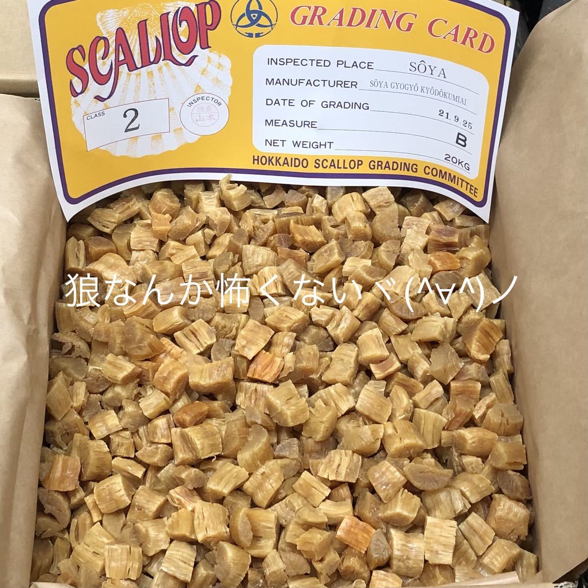 北海道産乾燥帆立貝柱 割れ品（B2）1kg（100g×10袋）ホタテ貝柱 貝柱_画像2