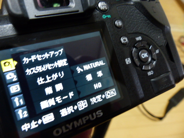 オリンパス E-510 14-42㎜レンズ・カメラバッグ付 美品_画像5