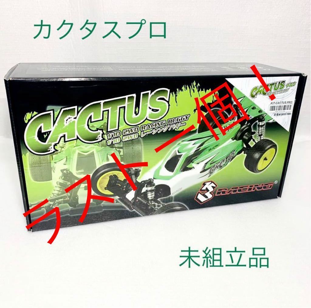 カクタスプロ 2wd バギー i-img1024x1015-