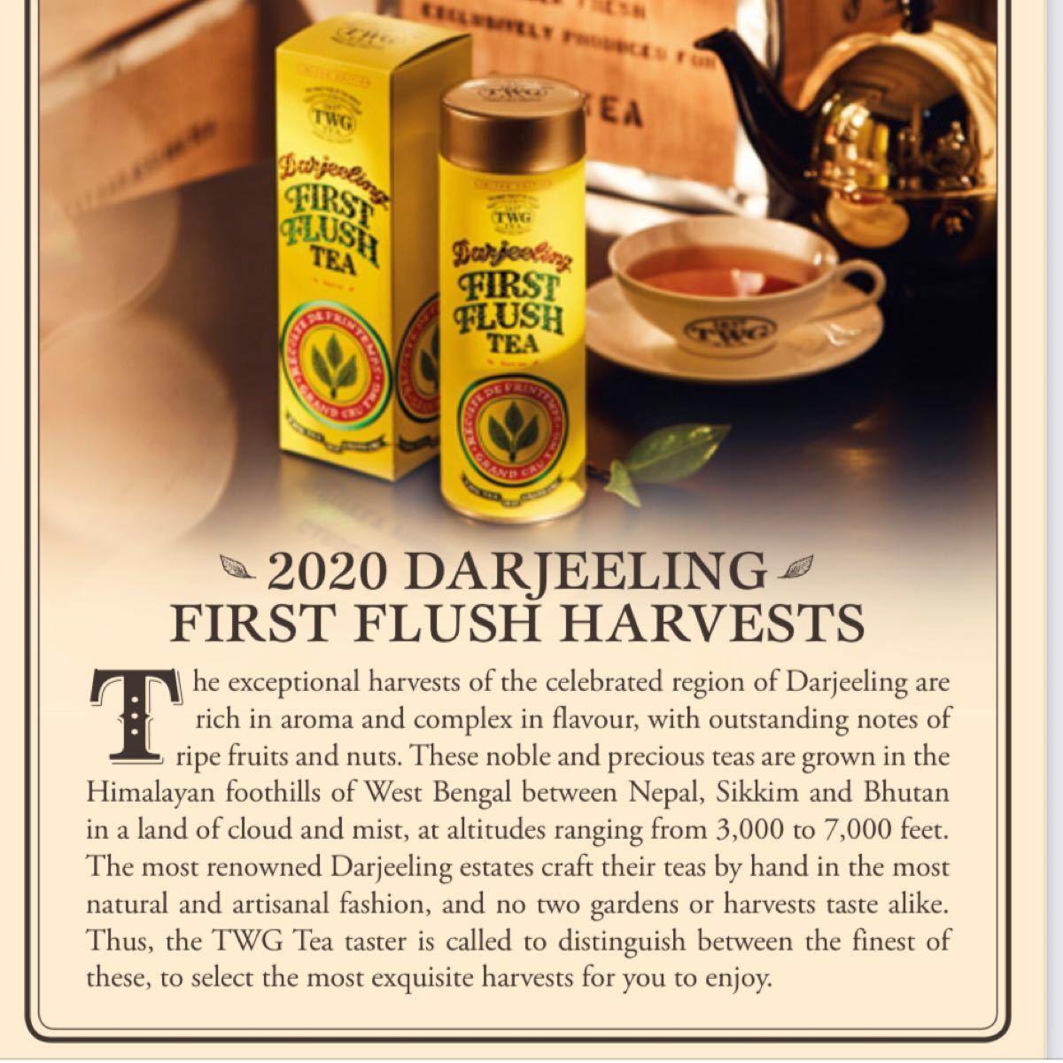 【先着値下げ最後在庫】TWG Darjeeling First Flush