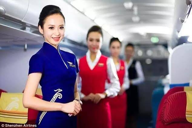 Yahoo!オークション - 深航空 深セン航空 バッジ/靴付 ca 客室 Yahoo!オークション - 深航空 深セン航空 バッジ/靴付 ca 客室