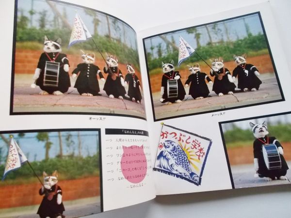 Yahoo!オークション - 写真集 なめんなよ 又吉のかっとび Yahoo!オークション - 写真集 なめんなよ 又吉のかっとび