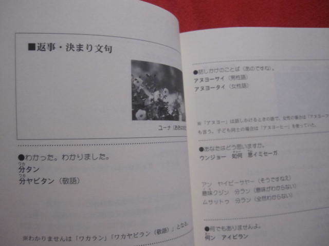 ☆楽しいウチナーグチ 　　 【沖縄・琉球・歴史・言語・方言・文化】_画像8