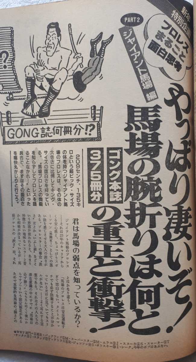 (株)日本スポーツ出版社「ゴング1984年1月号　●新年特別企画　プロレスまるごと面白思考」1984年1月1日発行_画像10