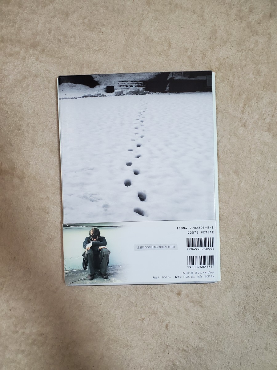 写真集　四月の雪　ビジュアルブック