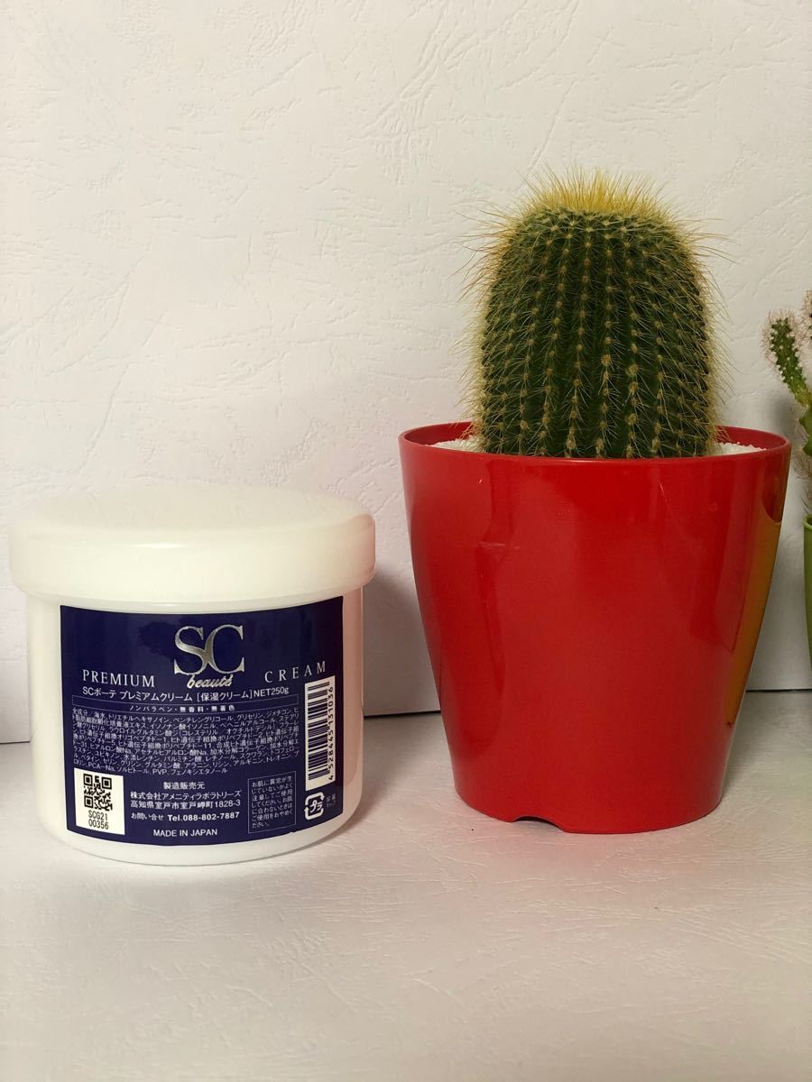 SCボーテ プレミアムクリーム 250g | contifarma.pe