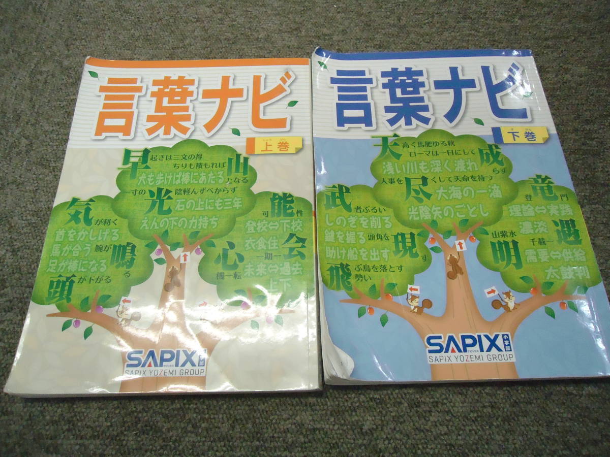 最も信頼できる サピックス 言葉ナビ上巻/下巻 2冊 中古品 塾生専用