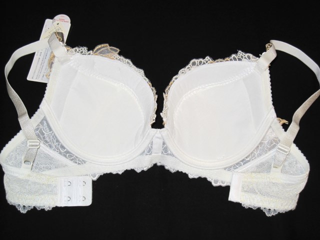 サルート 【月姫】 IV ブラジャー F65 ワコール 新品