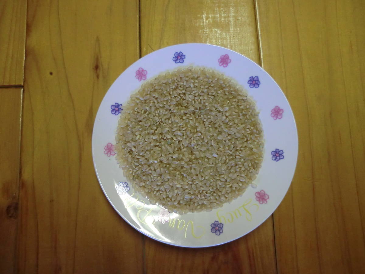 令和３年産　コシヒカリ　玄米30ｋｇ　農家直送　茨城県産米 2_画像2