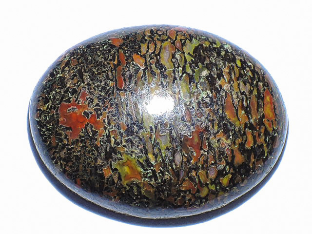 ☆古代の恐竜の骨の化石☆ダイナソーボーン☆5.1g/25.7mm☆レア