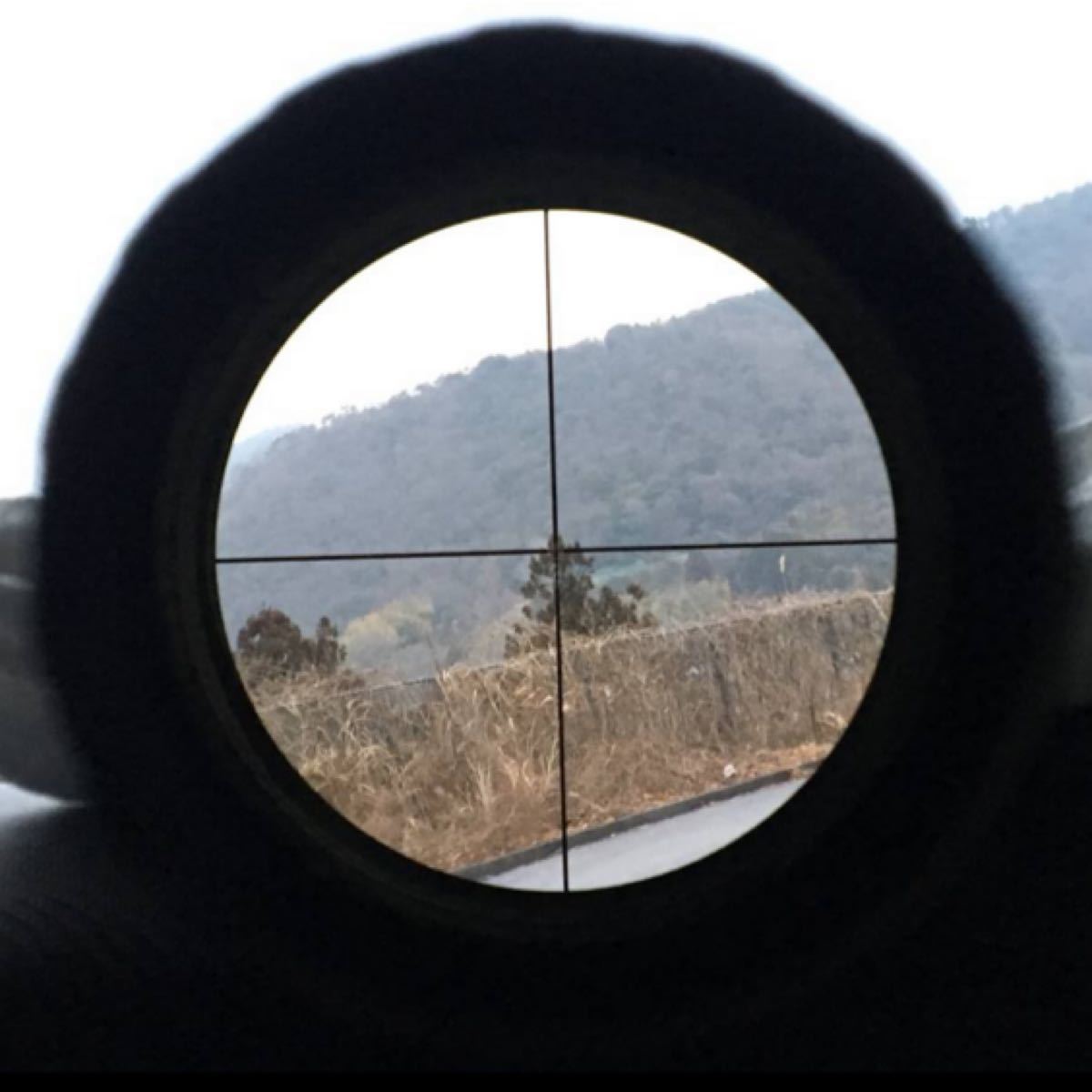 Bushnell ブッシュネル ショート AR Optics 1-4x24 ライフルスコープ