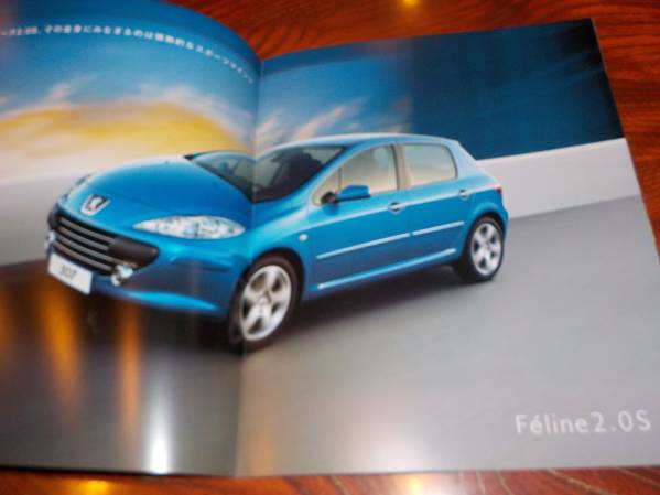 *[ Peugeot 307] catalog /2006 year / postage 185 jpy 