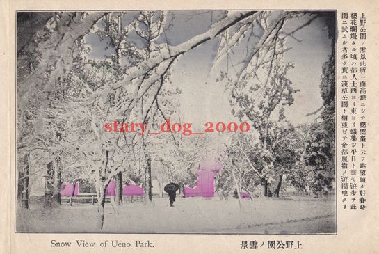 複製復刻 絵葉書/古写真 東京 上野公園の雪景色 明治末期 TMC_056_画像1