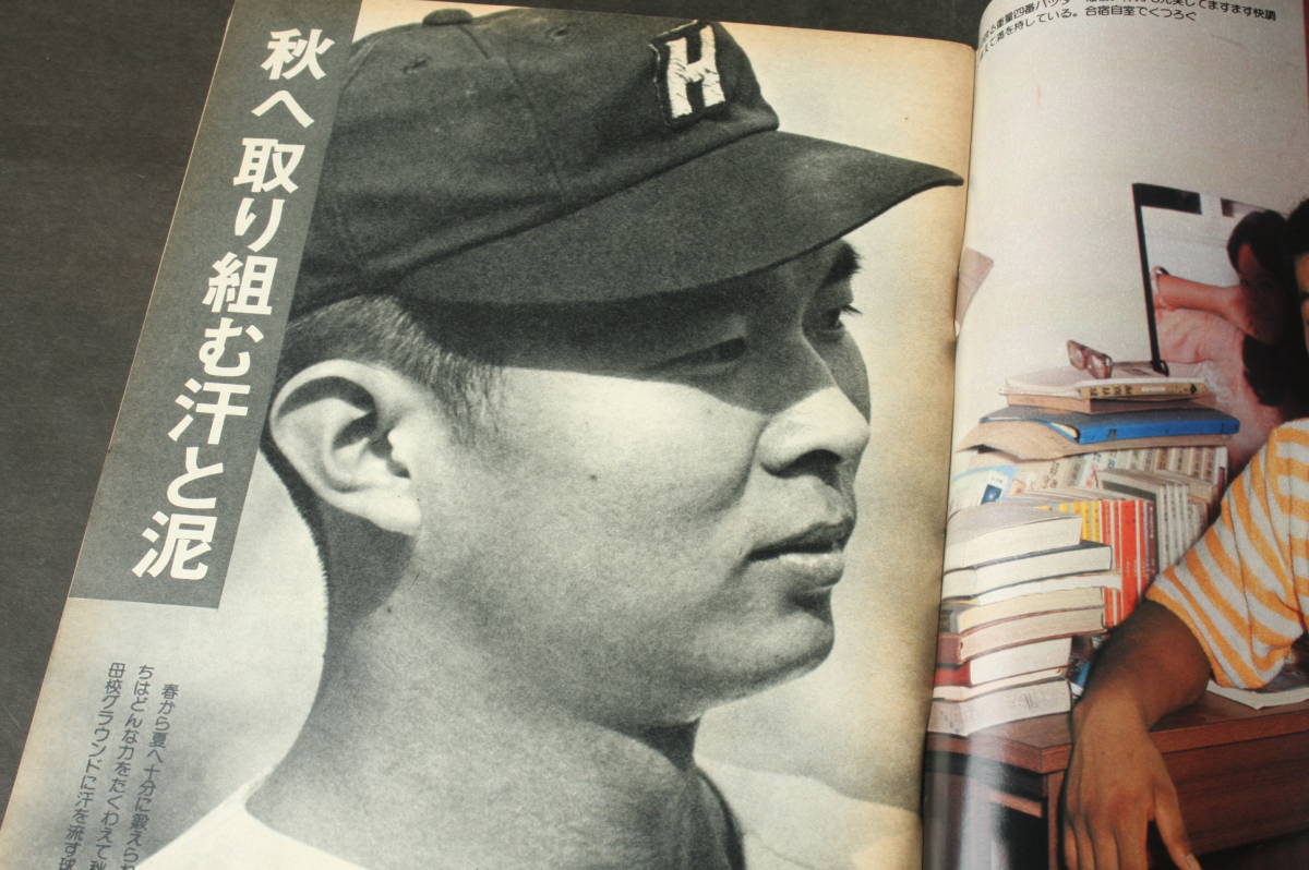 4476 週刊ベースボール 9月18日号 増刊 '77東京六大学秋季リーグ戦展望号 昭和52年9月18日発行_画像7