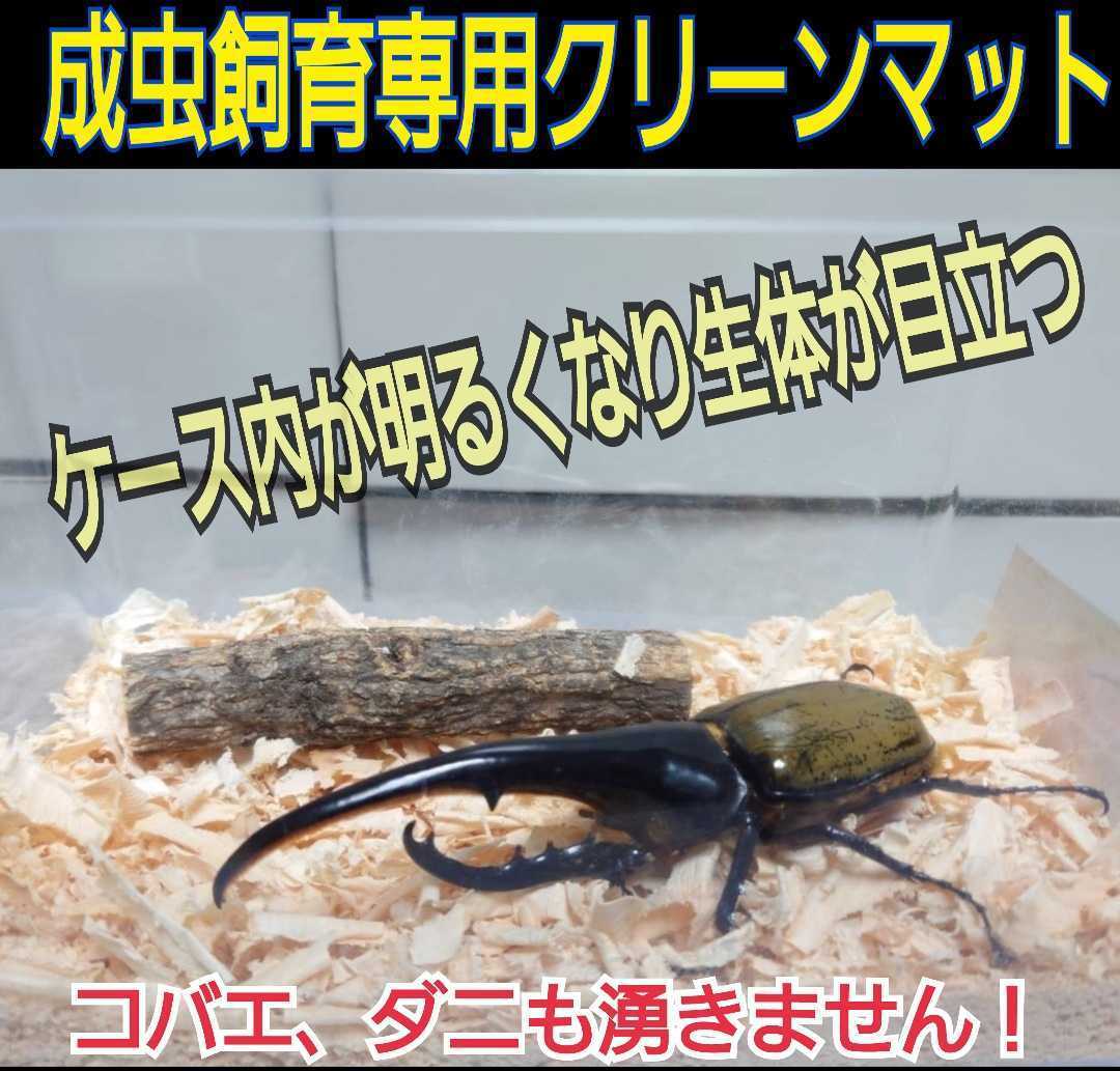 カブトムシの成虫飼育専用☆爽やかな香りの針葉樹クリーンマット☆コバエ、ダニが湧きません☆ケース内が明るくなり生体がかっこ良く見える_画像4