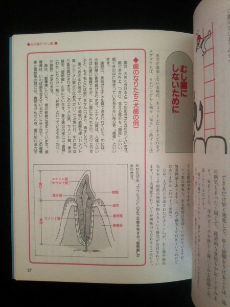 Ba1 03802 歯 乳歯から入れ歯まで あなたの歯と一生つきあいできる本 監修・指導：丸森賢二 高橋一祐 星虎男 一生自分の歯で食べたい! 他_画像3