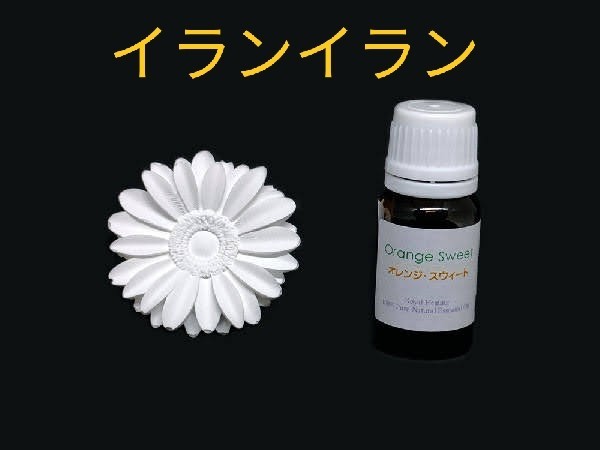 イランイラン精油10ml1本 ＋ アロマストーン（6種類から選択可）