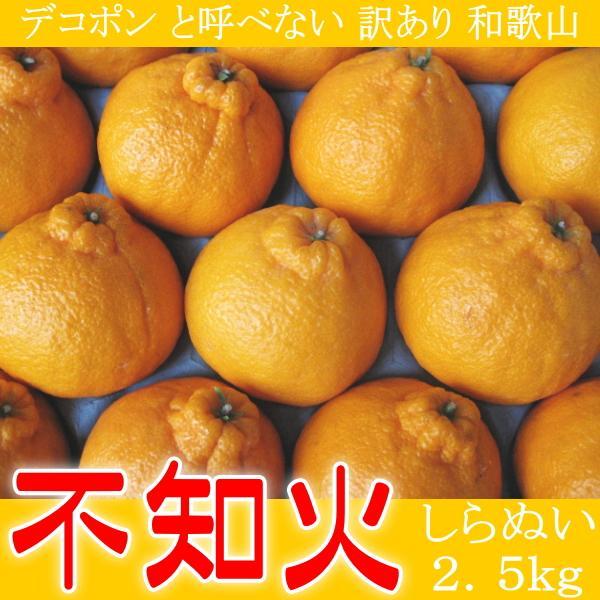 2個出品 ご予約 デコポン と呼べない 訳あり 和歌山 不知火 しらぬい 2.5kg さんきん 1円_画像1