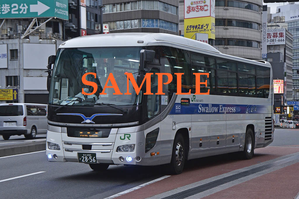 D-21[ bus photograph ]L version 4 sheets JR bus Kanto Selega swallow Express 