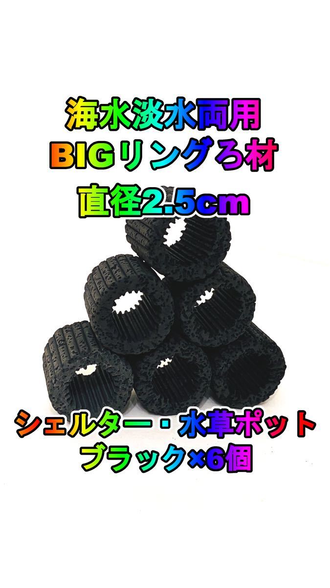 お得な特別割引価格)BIG濾過材 ベージュ6個 水草ポット リングろ材