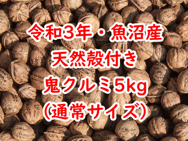 令和3年★新潟・魚沼産★天然殻付き鬼クルミ★5kg★通常サイズ★国産鬼胡桃_画像1