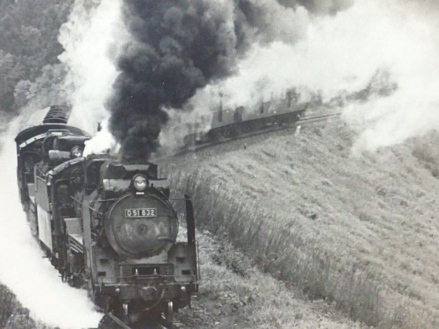 s201k old photograph panel SL steam locomotiv D51 white black photograph approximately 43x approximately 53.5. tree frame panel railroad photograph retro Junk 