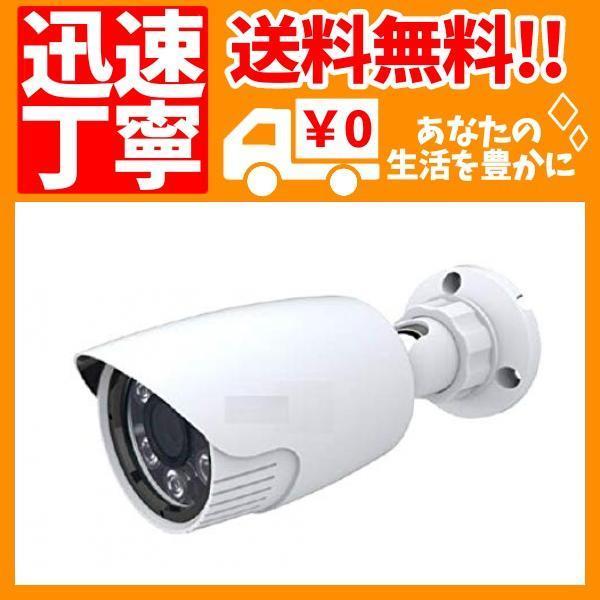 SKS-S600BV【2020最新型 国内メーカー品】 高性能防犯カメラ アナログ