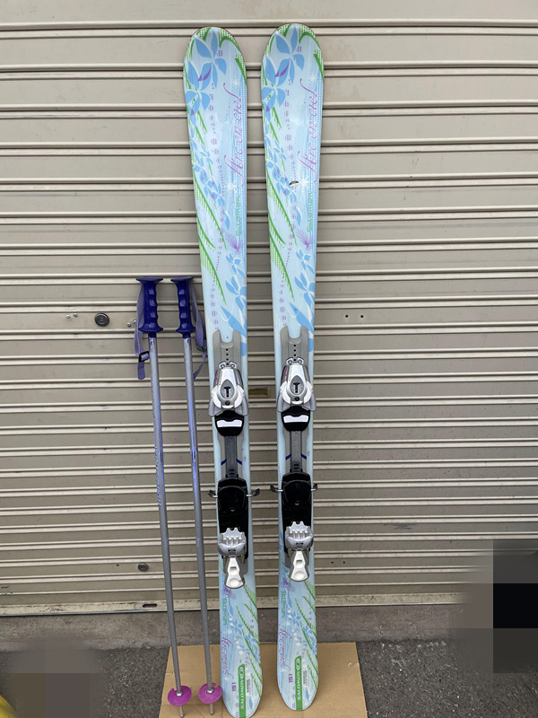 割引限定 即決!!!Salomon スキー 板 Arc en ciel カービングスキー 151cm WINTER HIGHストック(約107cm)・調整ビン付き 割引限定 即決!!!Salomon スキー 板 Arc en ciel カービングスキー 151cm WINTER HIGHストック(約107cm)・調整ビン付き