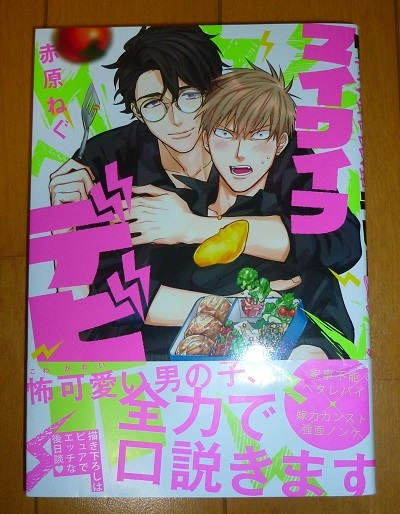 送料込!!【マイワイフデビル】赤原ねぐ・2020/9・送料込商品同時梱包時返金有・中古本BL中古本BL本・帯痛み有