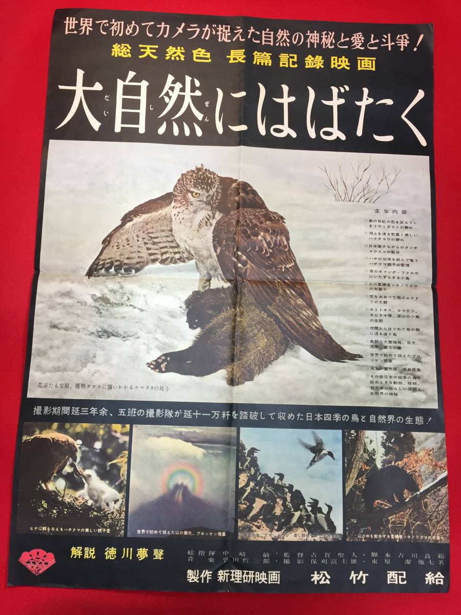 値引 ub48114『大自然にはばたく』B2判ポスター 古賀聖人 古川良範 平井哲三郎 徳川夢声 その他