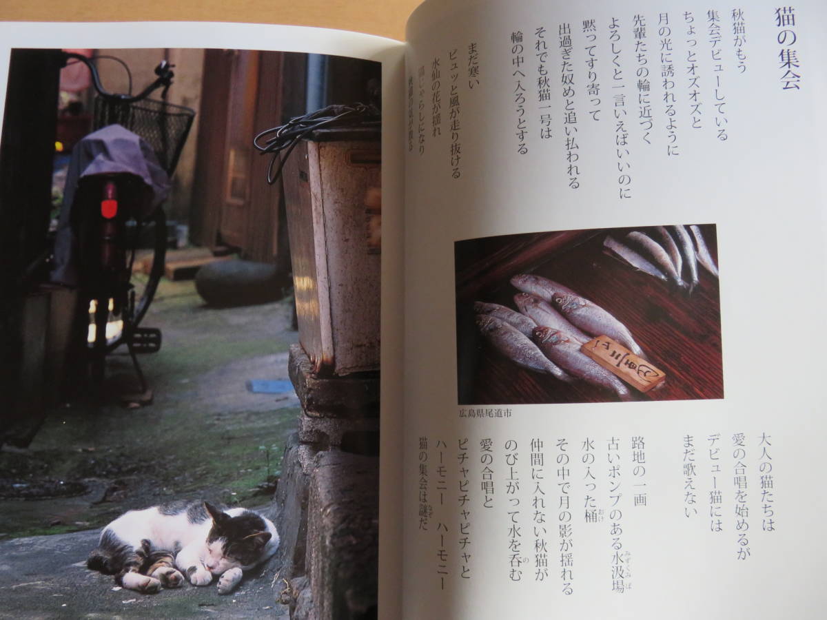 絶版本　阿久悠さんの詞に乗せた、人の生活が息づく、とても素敵な路地裏の写真集　「路地の記憶」　帯付き美品_画像5
