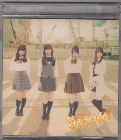 CD+DVD★SKE48／賛成カワイイ！_画像1