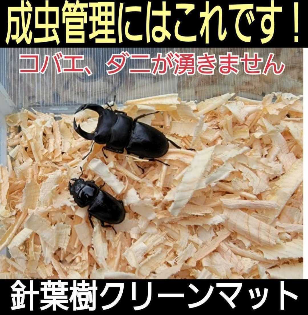 カブトムシの成虫管理に最適！ふわふわ！爽やかな香りの針葉樹クリーンマット☆ケース内が明るくなり生体が引き立つ！防ダニ、防コバエ効果_画像8