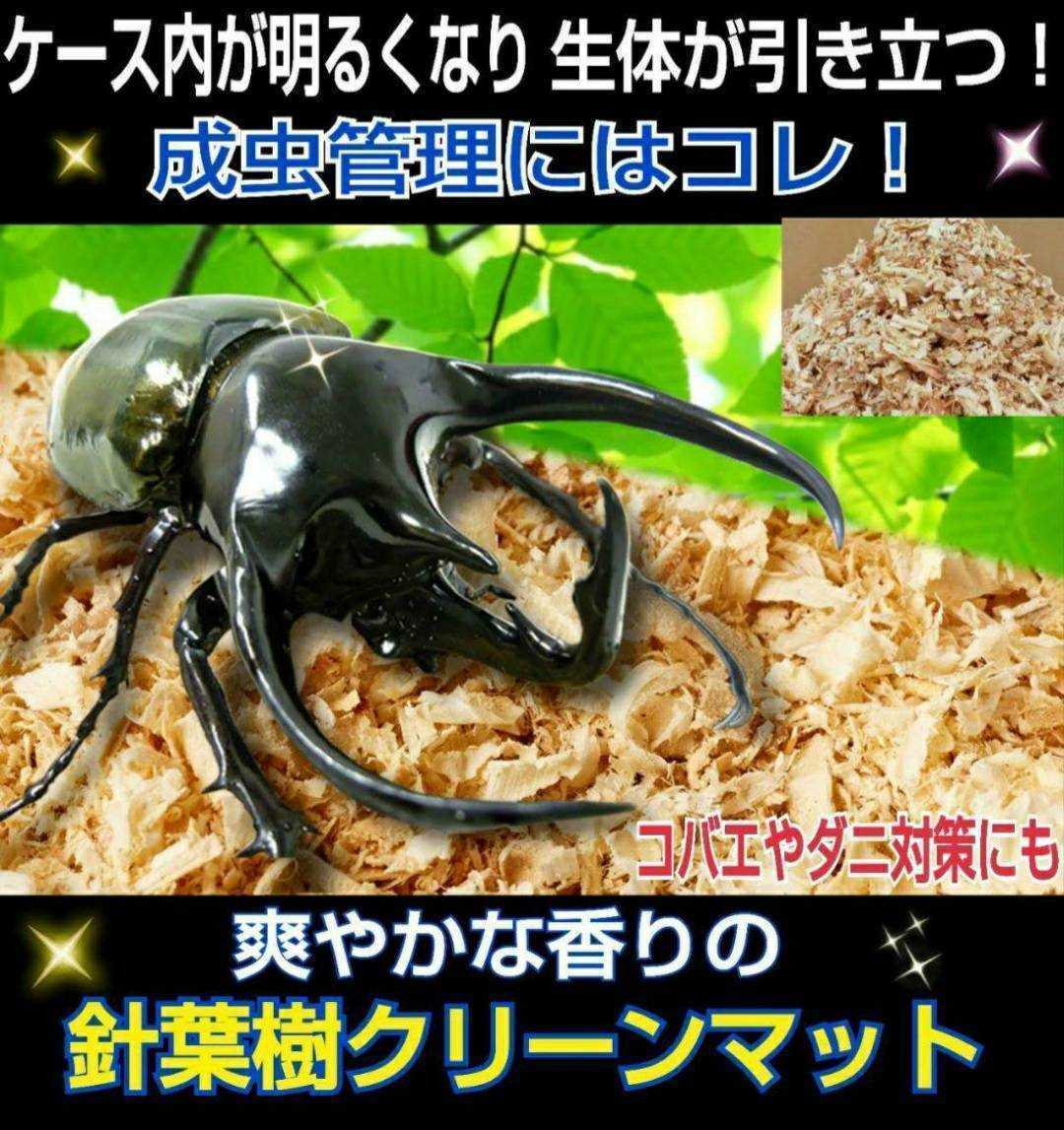 成虫管理専用【針葉樹マット】 爽やかな香り！綺麗で明るいので生体がかっこ良く見えます！コバエやダニも寄せ付けない抗菌、防臭効能も_画像7