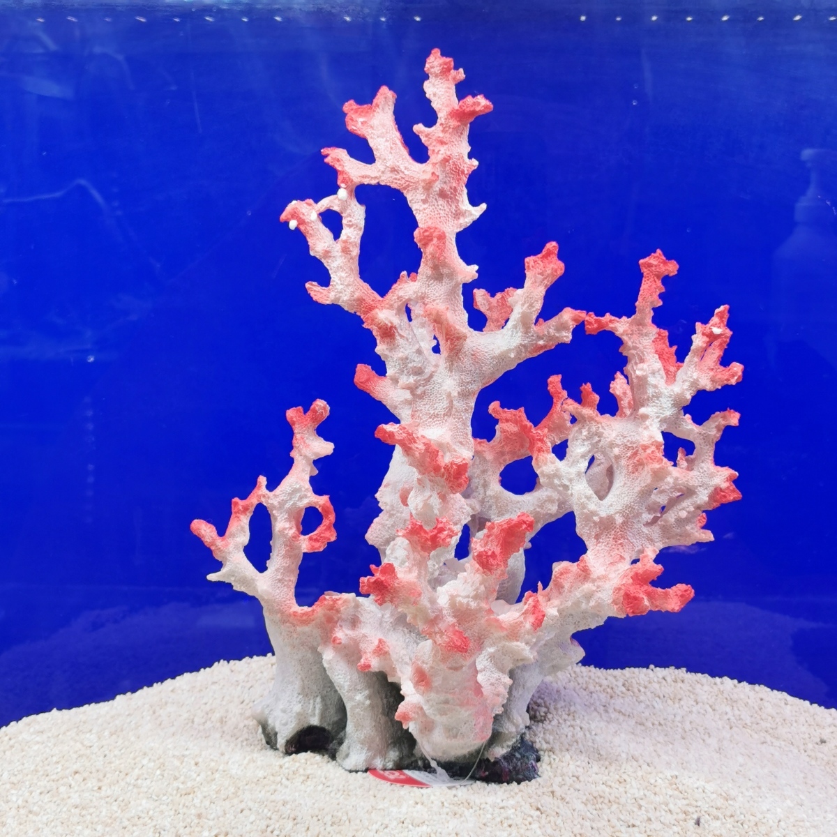 zen acid ZEST replica coral L-4( white pink )